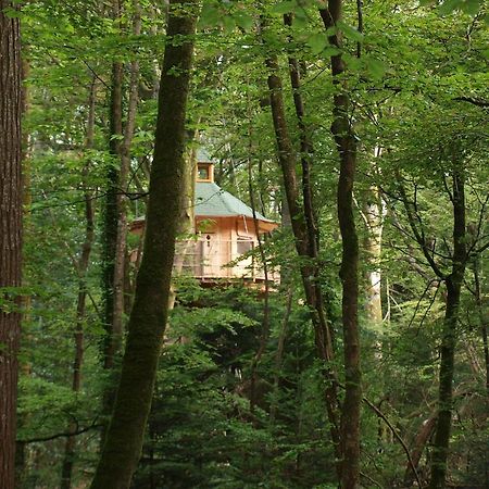 Les Cabanes De Kermenguy Cléder Стая снимка