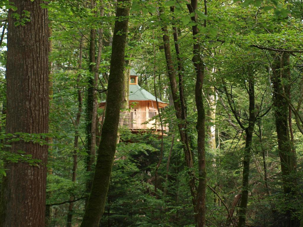 Les Cabanes De Kermenguy Cléder Стая снимка
